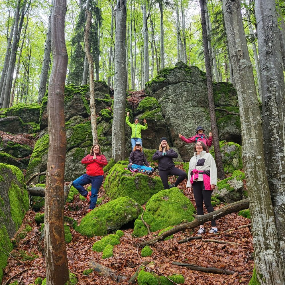 WhatsApp Bild 2024-09-26 um 12.54.21_352d9e00