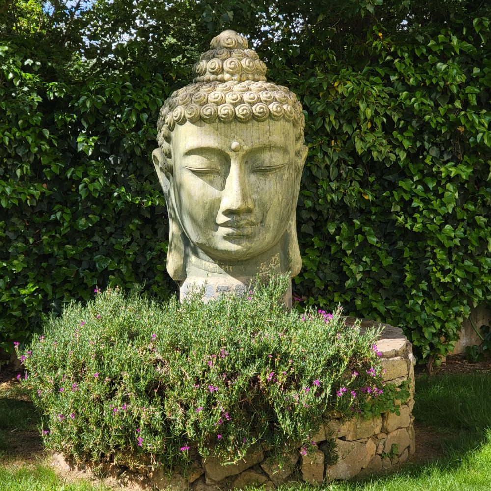 WhatsApp Bild 2024-09-26 um 12.54.22_525e9886 WhatsApp Bild 2024-09-26 um 12.54.22_525e9886