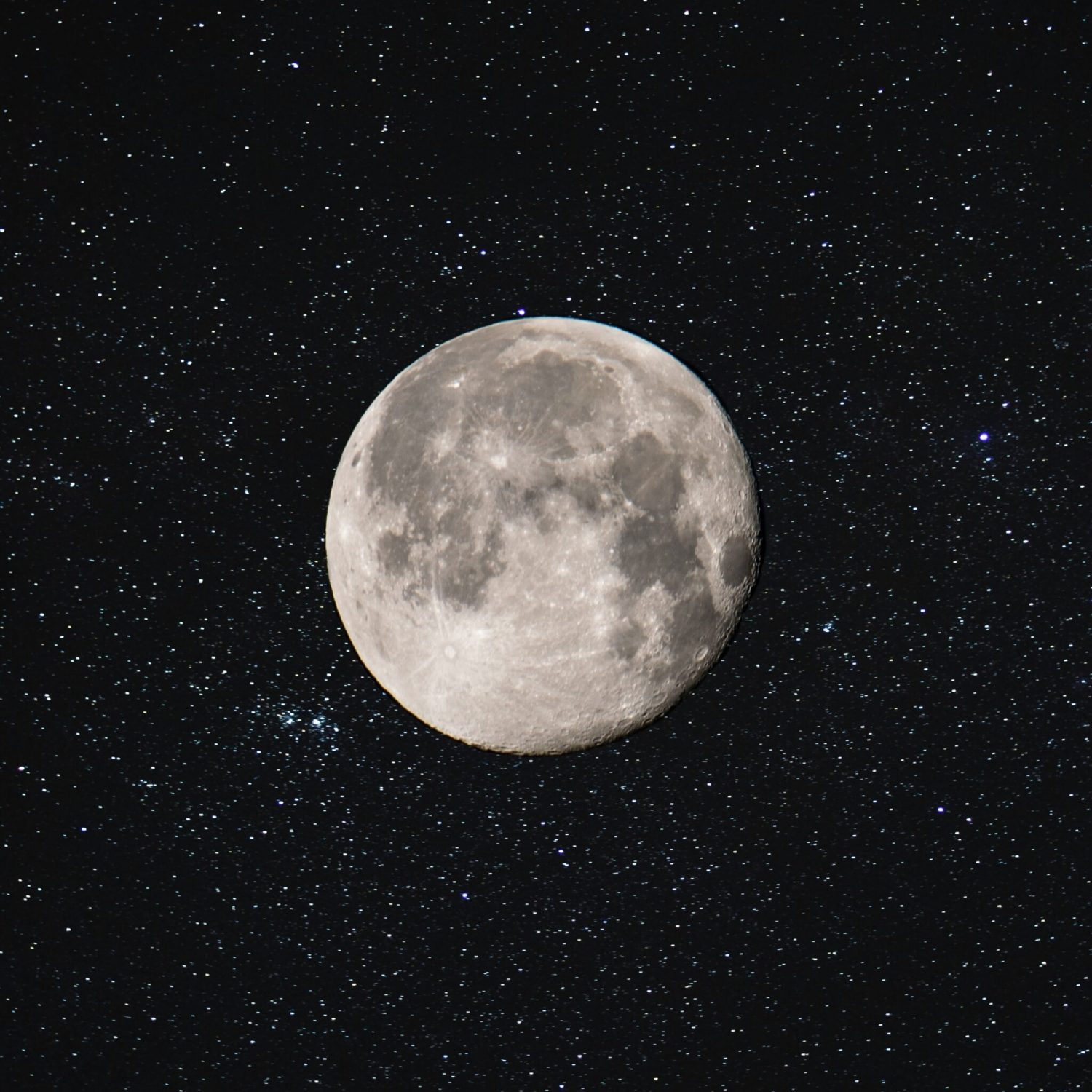 josh-miller-vWBKt9Dto1g-unsplash josh-miller-vWBKt9Dto1g-unsplash
